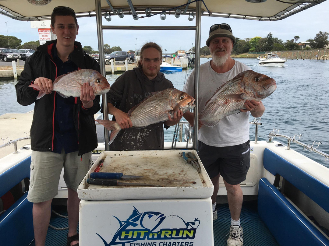 Hit n Run Fishing Charters-阿波罗湾必去景点