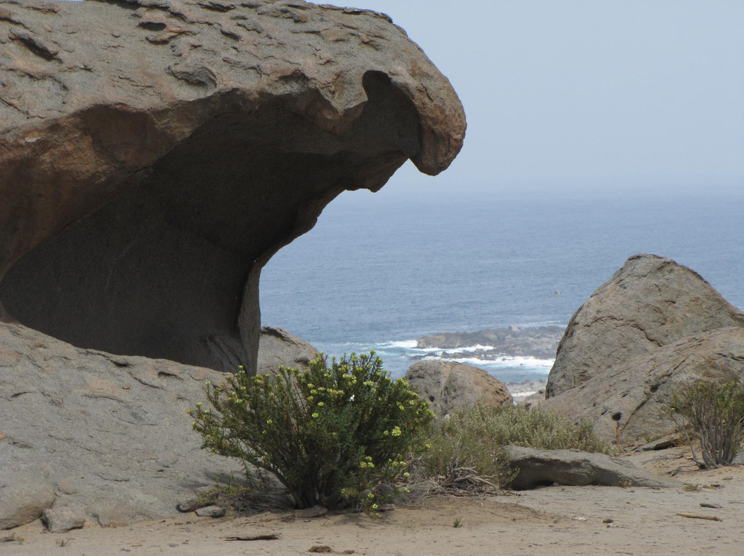 Zoologico de Piedra-Caldera必去景点