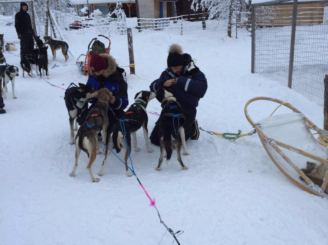 Jytky Hysky Sled Dog Camp-伊纳里必去景点