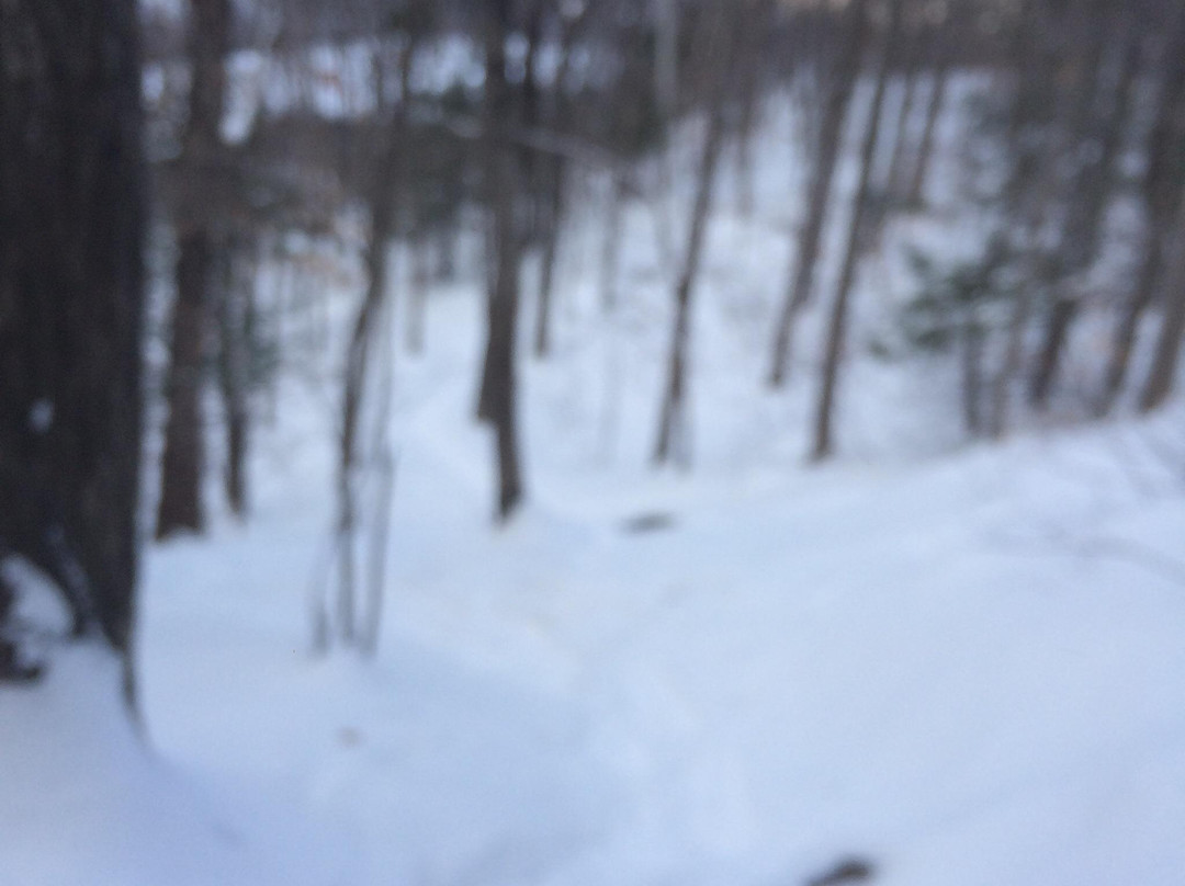 Metacomet-Monadnock Trail-艾姆赫斯特必去景点