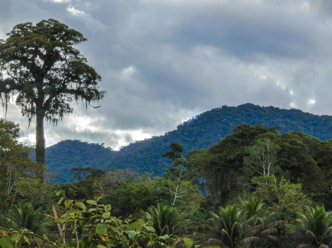 Serra Bonita Reserve-Camacan必去景点