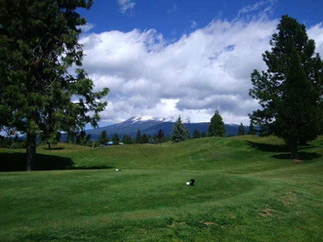 Mount Shasta Resort Golf Course景点图片