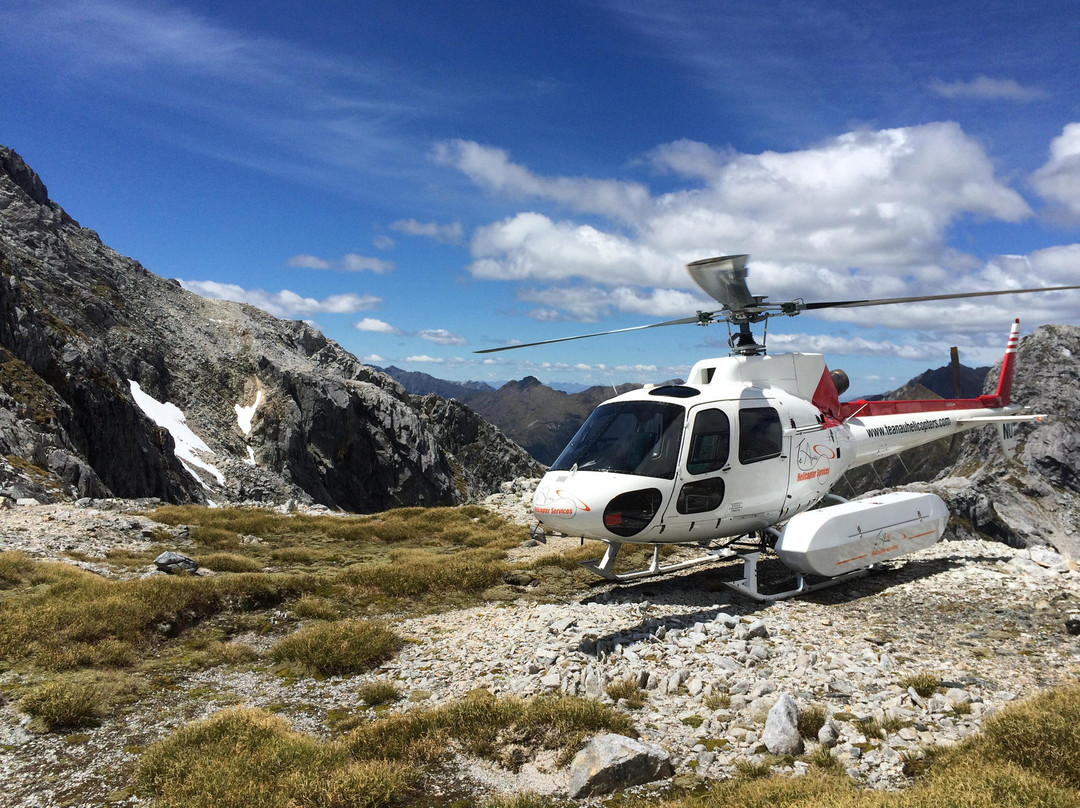 Te Anau Helicopter Services景点图片