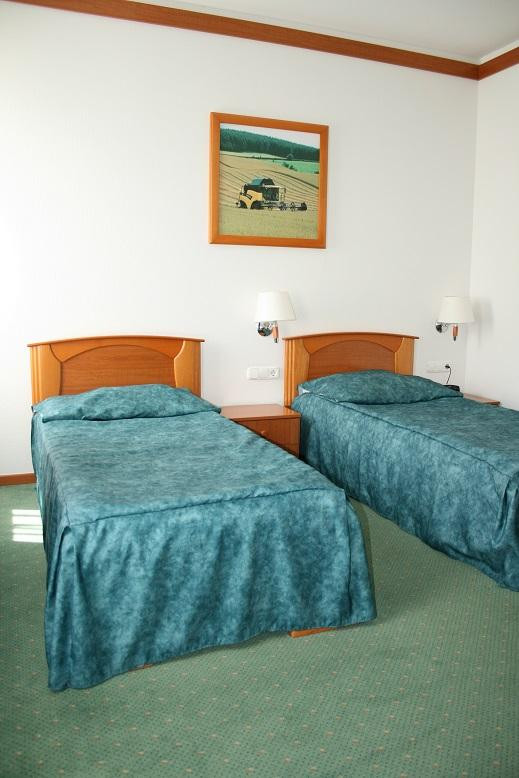 Park Hotel Es Rendezveny Centrum Babolna主图