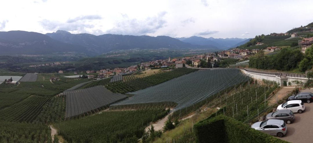 Agriturismo La Pieve主图
