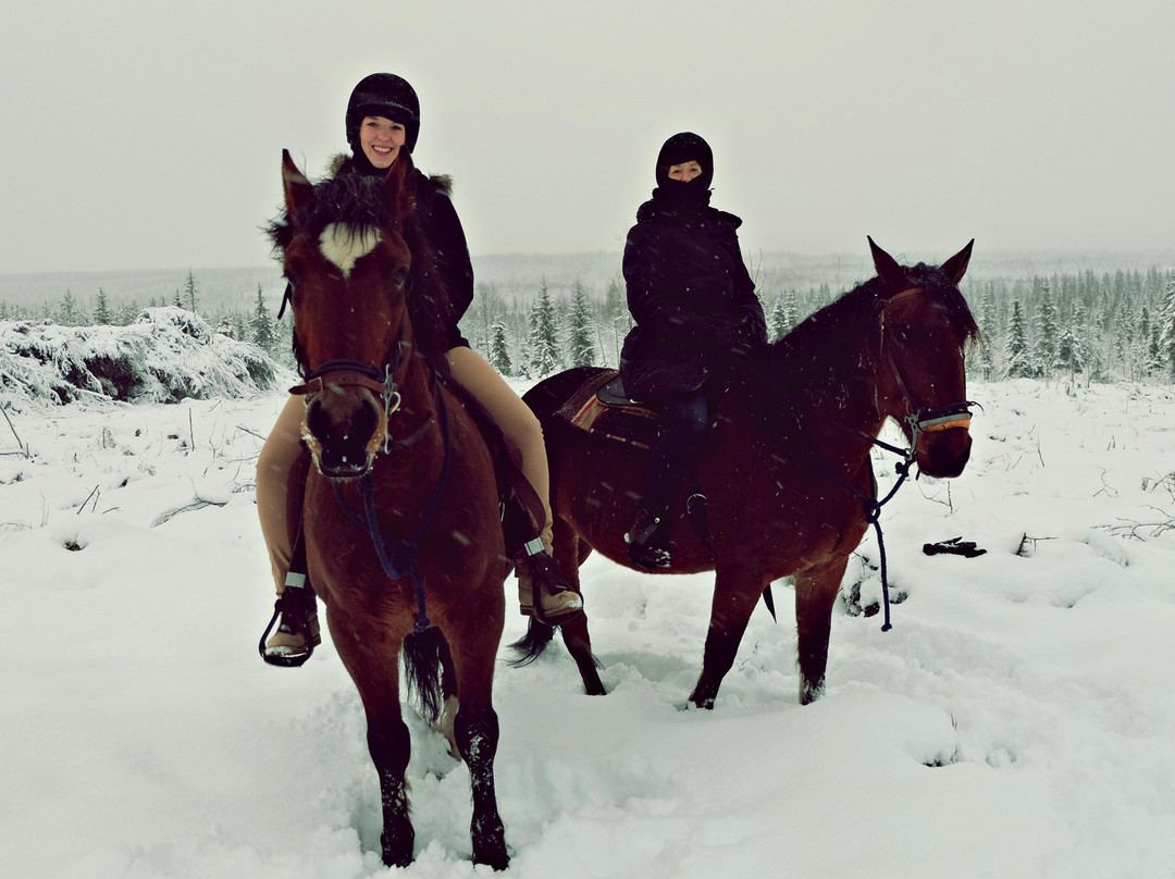 Eräratsut-罗瓦涅米必去景点