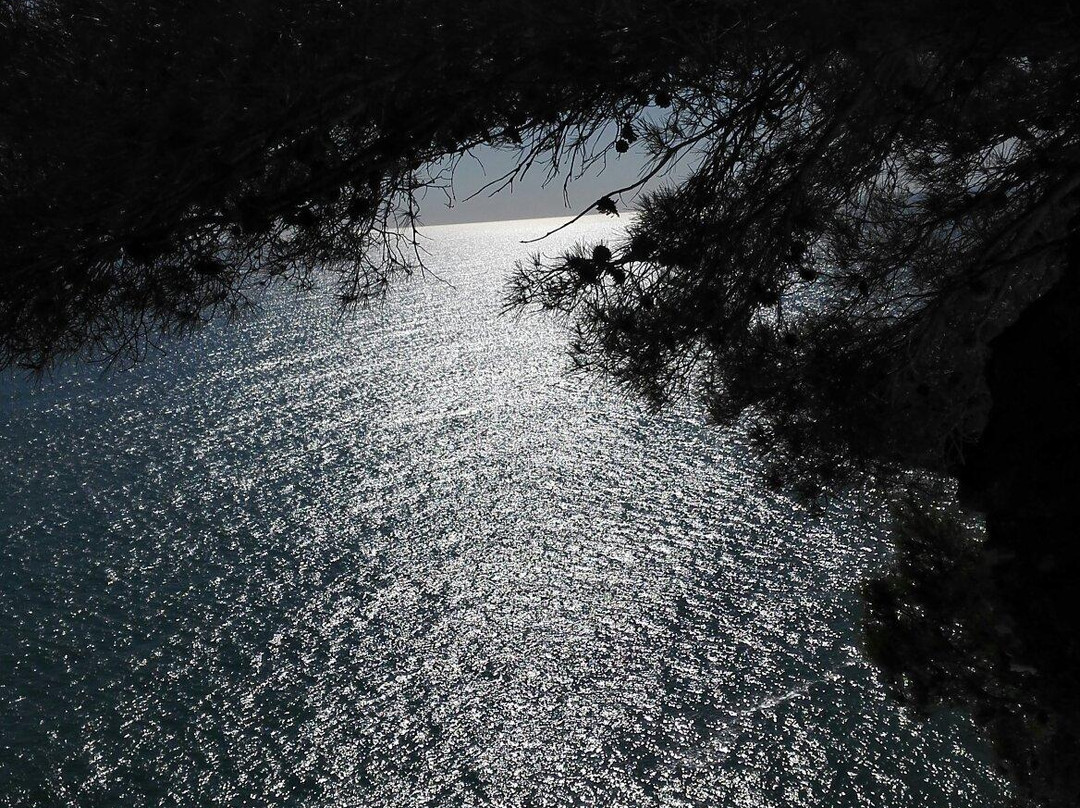 Spiaggia di Vignanotica景点图片