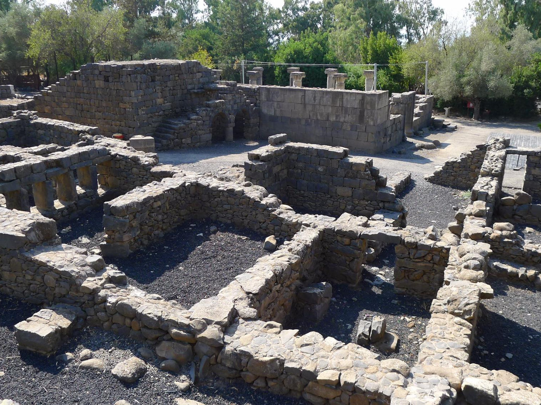 Katzrin Village Tours