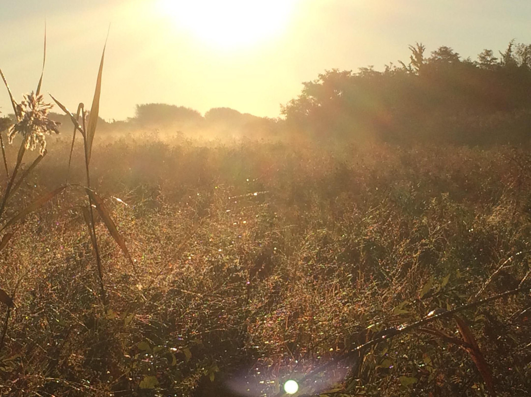Cape May Bird Observatory-Cape May Point必去景点