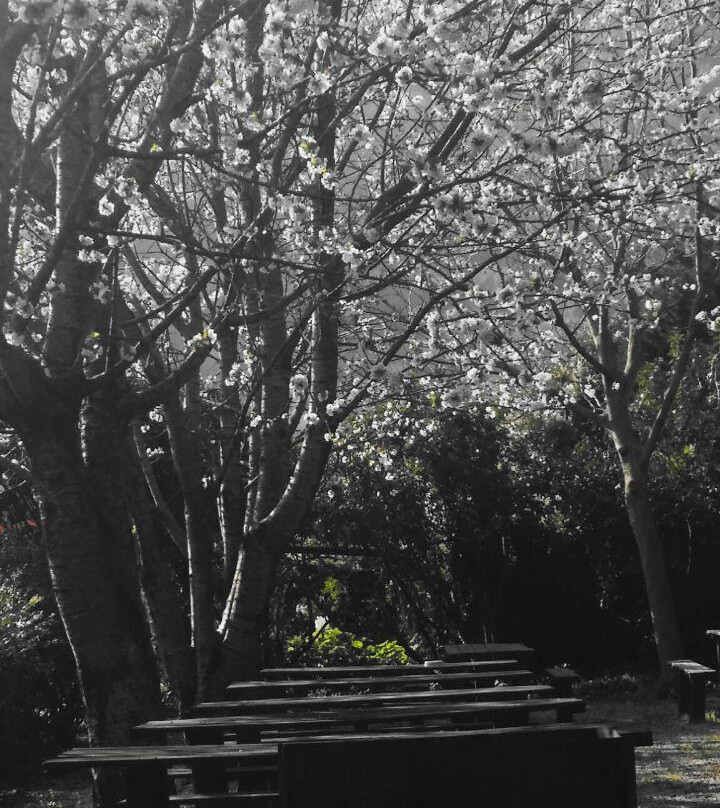 Azienda Il Giardino di Diana-Nemi必去景点