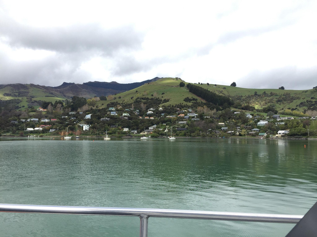 Black Cat Cruises-阿卡罗阿必去景点