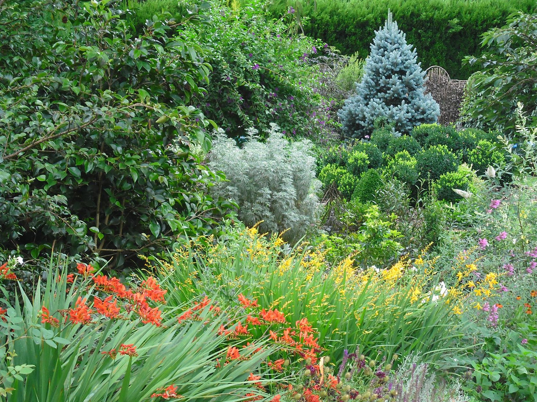 Perennial Hill Gardens景点图片