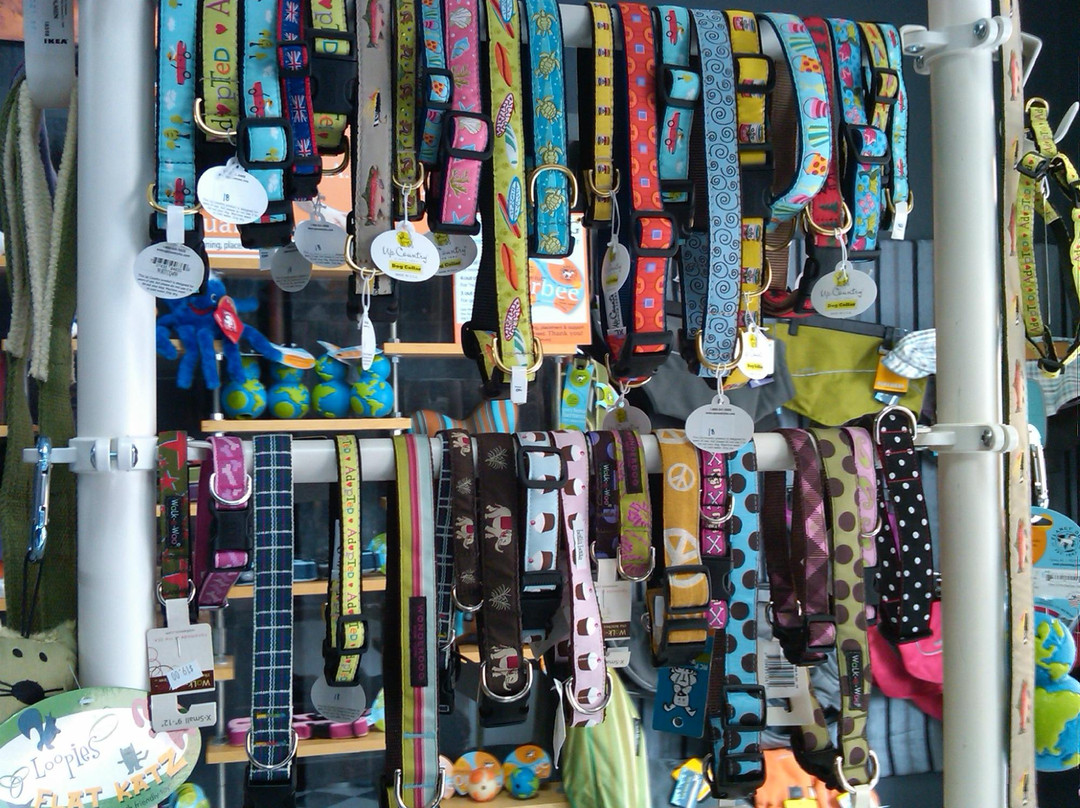 Blue Ridge Dog-哈里森堡必去景点