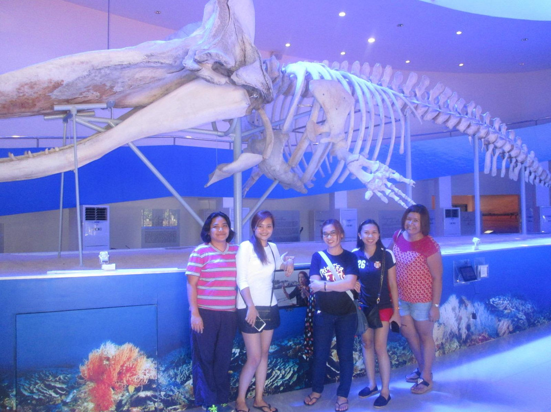 Subangang Museum-Mati必去景点