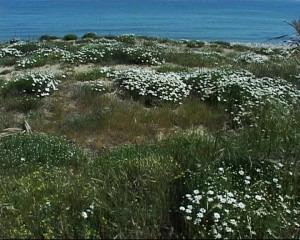 Dune di Casalbordino景点图片