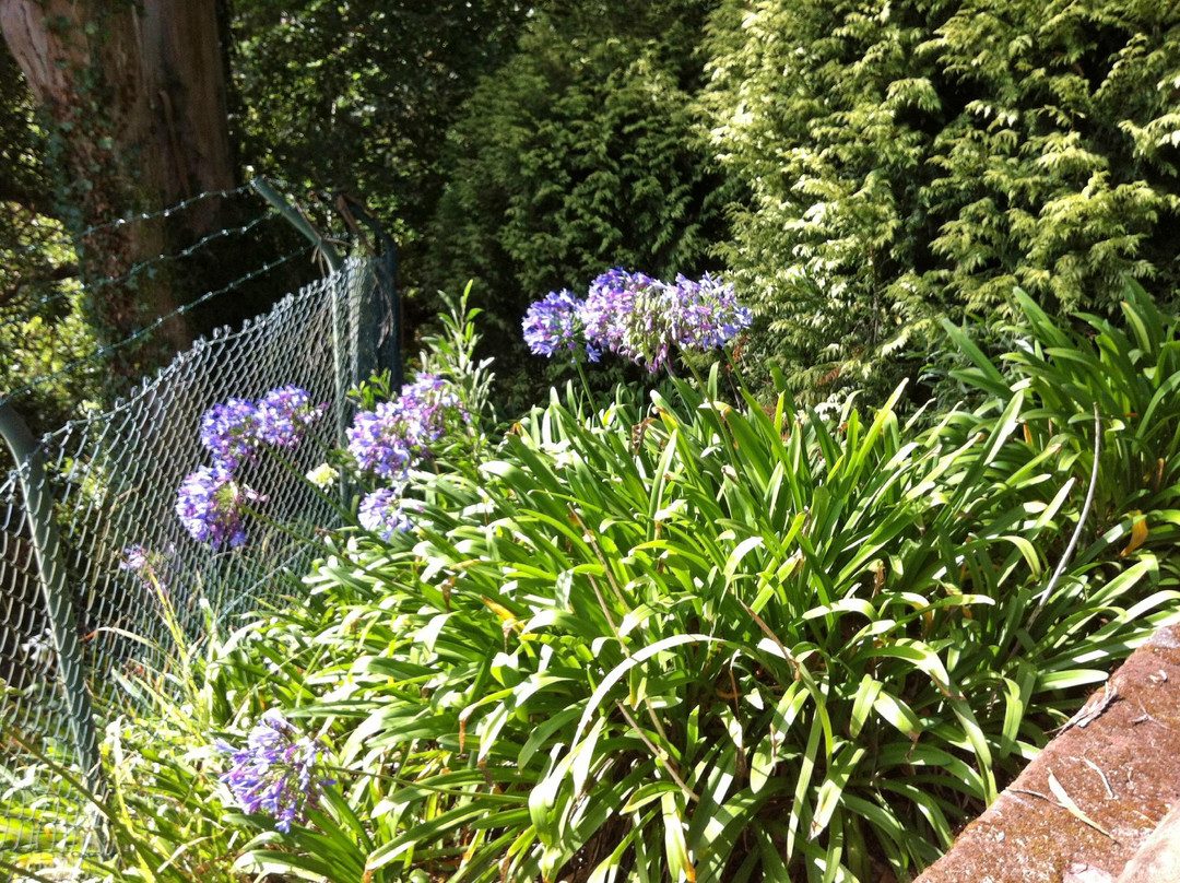 Quinta da Junta Garden-Santo Antonio da Serra必去景点