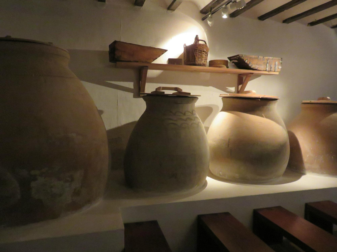 Museo-Casa de Dulcinea Del Toboso景点图片