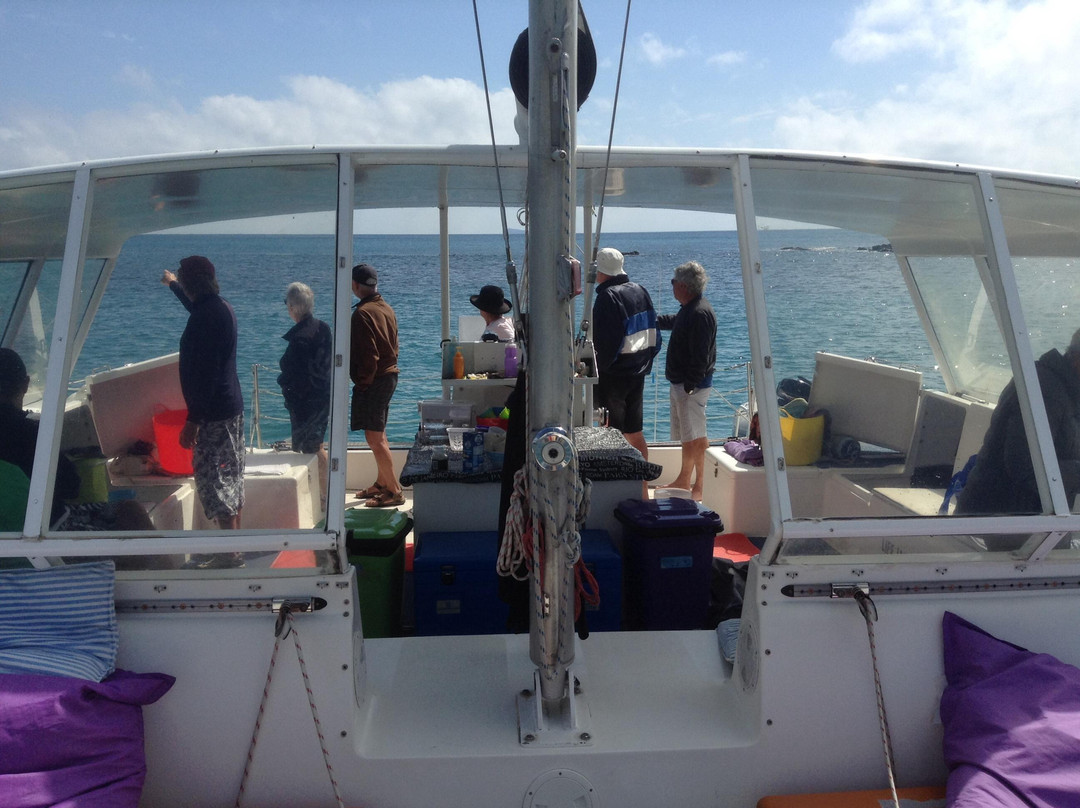 Sail Capricornia-Yeppoon必去景点