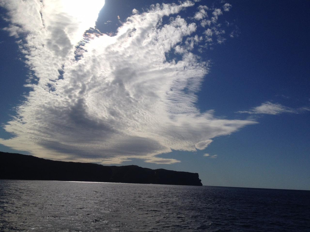 杰维斯湾野生巡航-赫斯基森必去景点