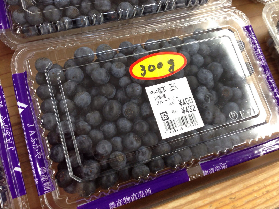 Michi-no-Eki Kawamoto-深谷市必去景点