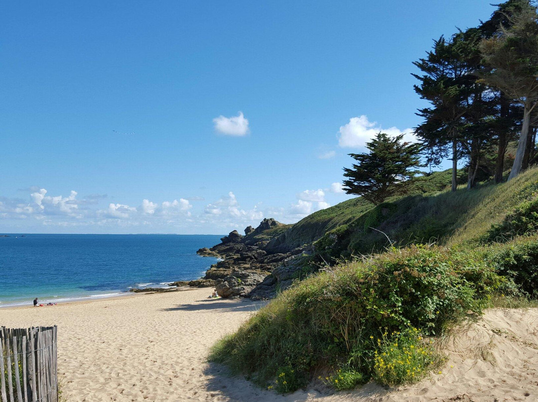 Plage de la Touesse景点图片