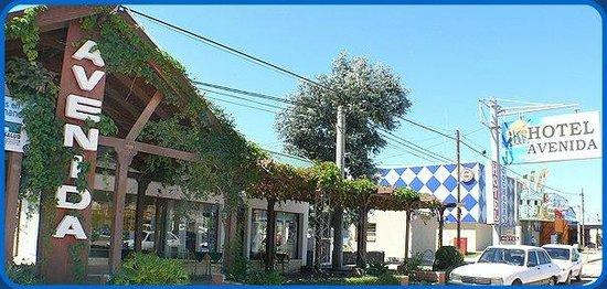 Hotel Avenida-客卧