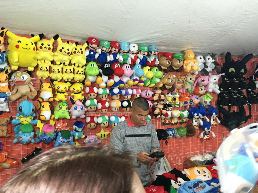 Parque Kasato Maru-索罗卡巴必去景点