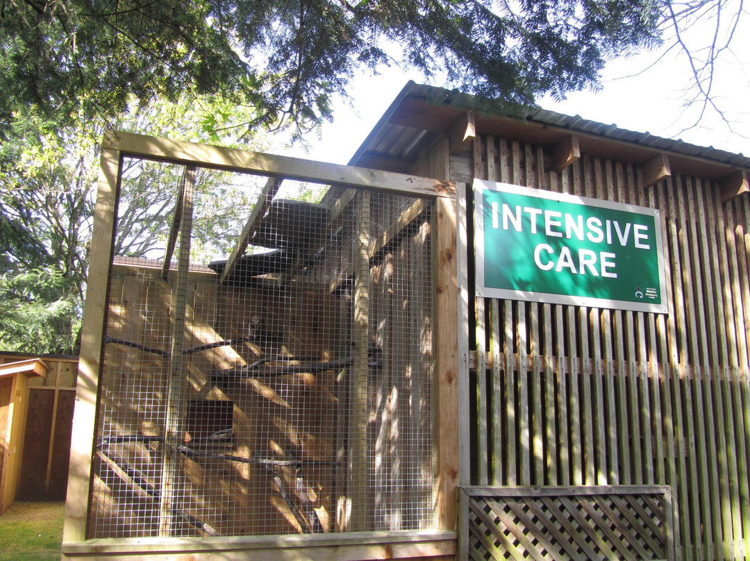 North Island Wildlife Recovery Centre景点图片