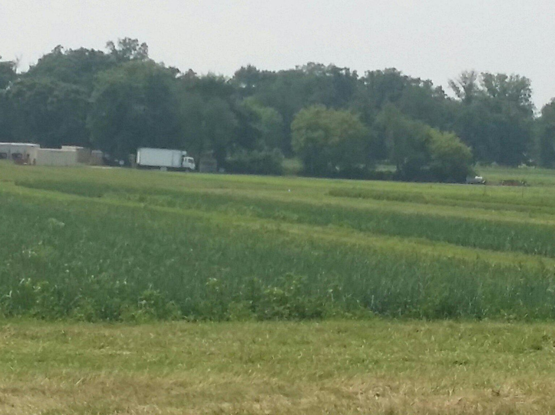 Angelic Organics Learning Center-Caledonia必去景点