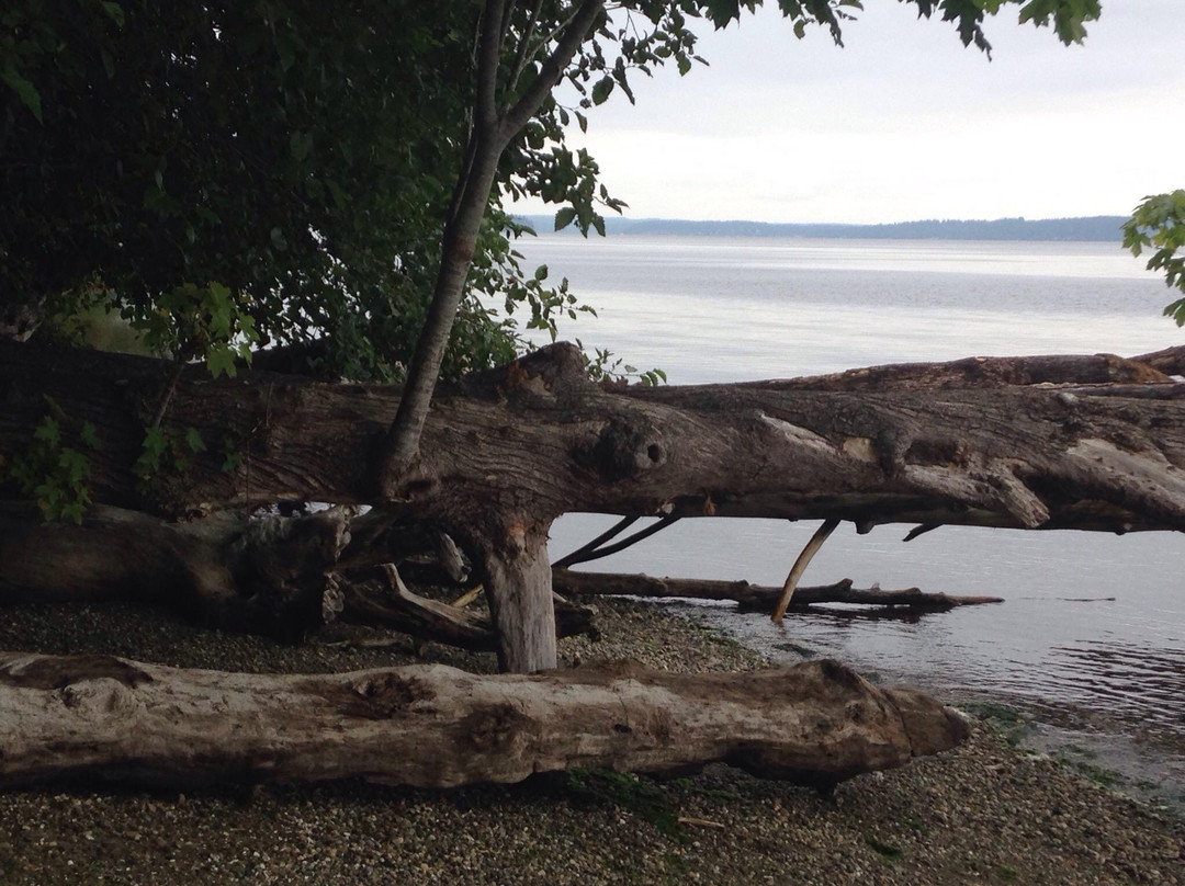 Harstine Island State Park景点图片