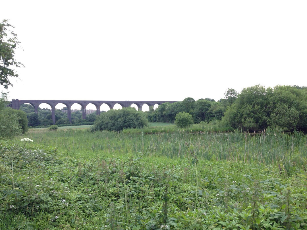 Sprotborough Canalside景点图片