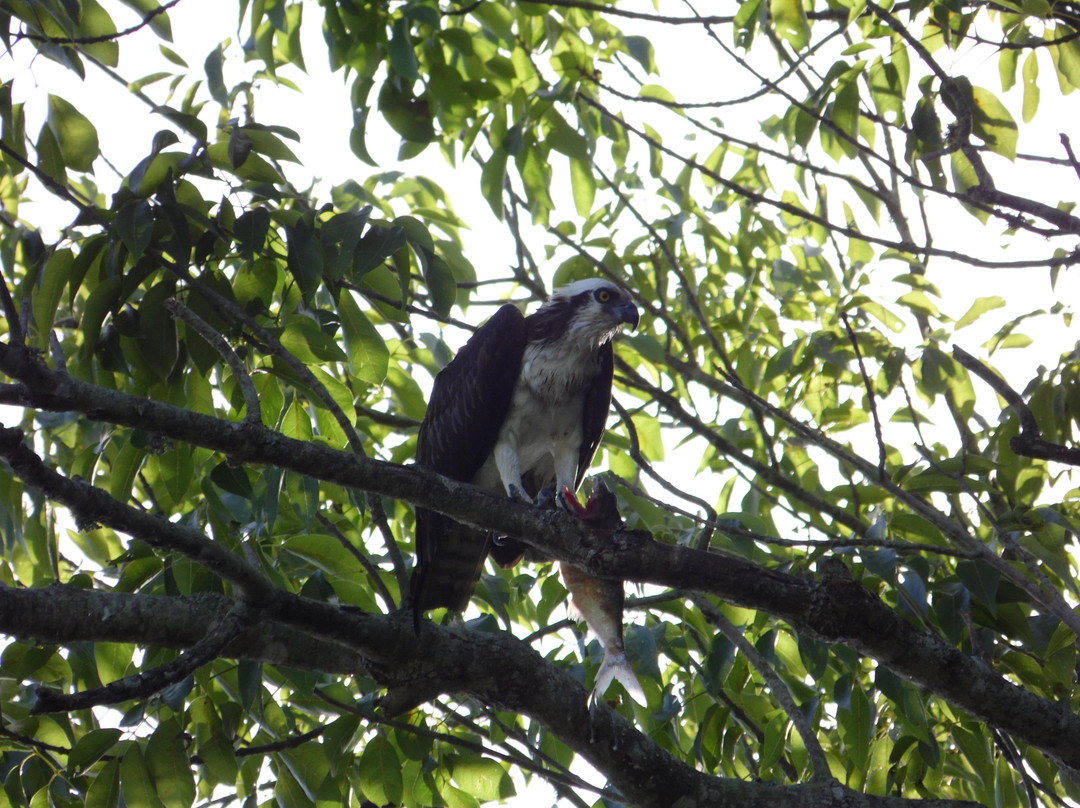 Oakland Nature Preserve-Oakland必去景点