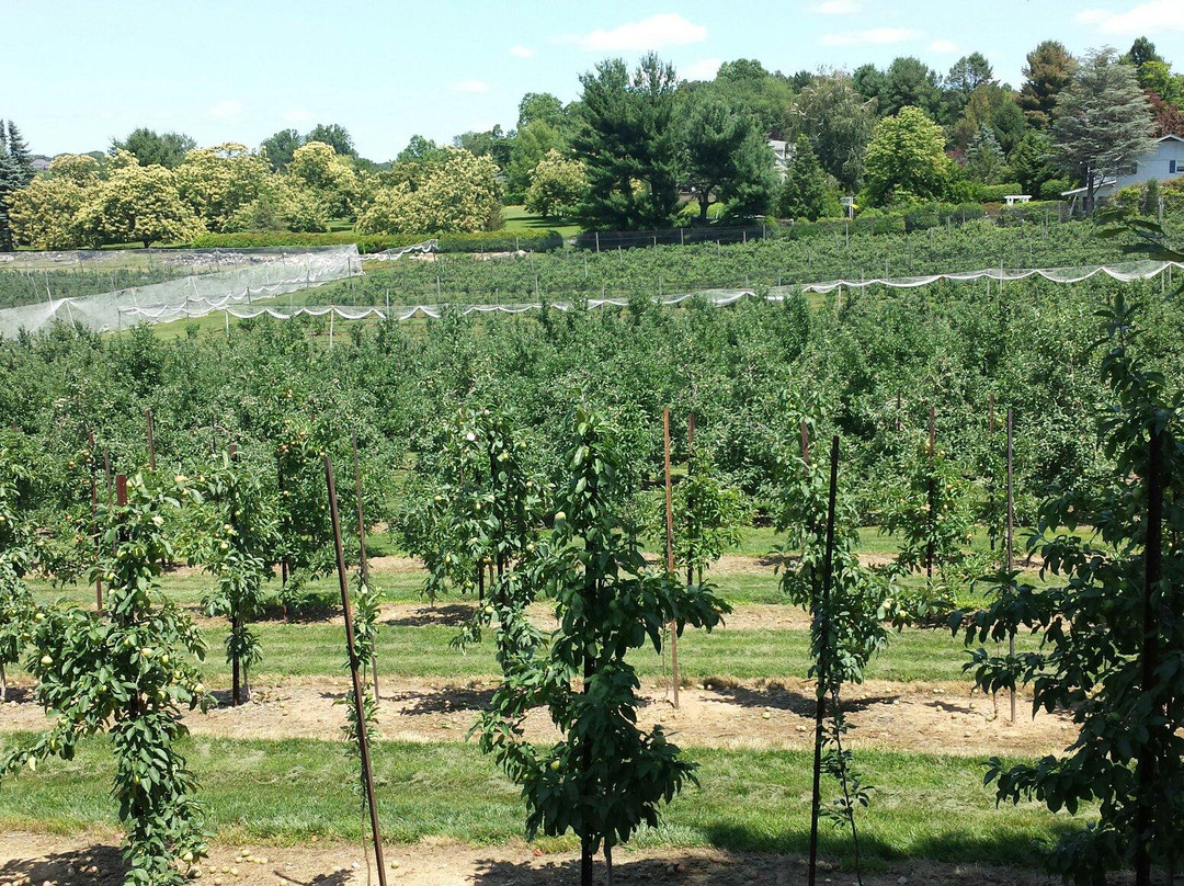 Belltown Hill Orchards-South Glastonbury必去景点