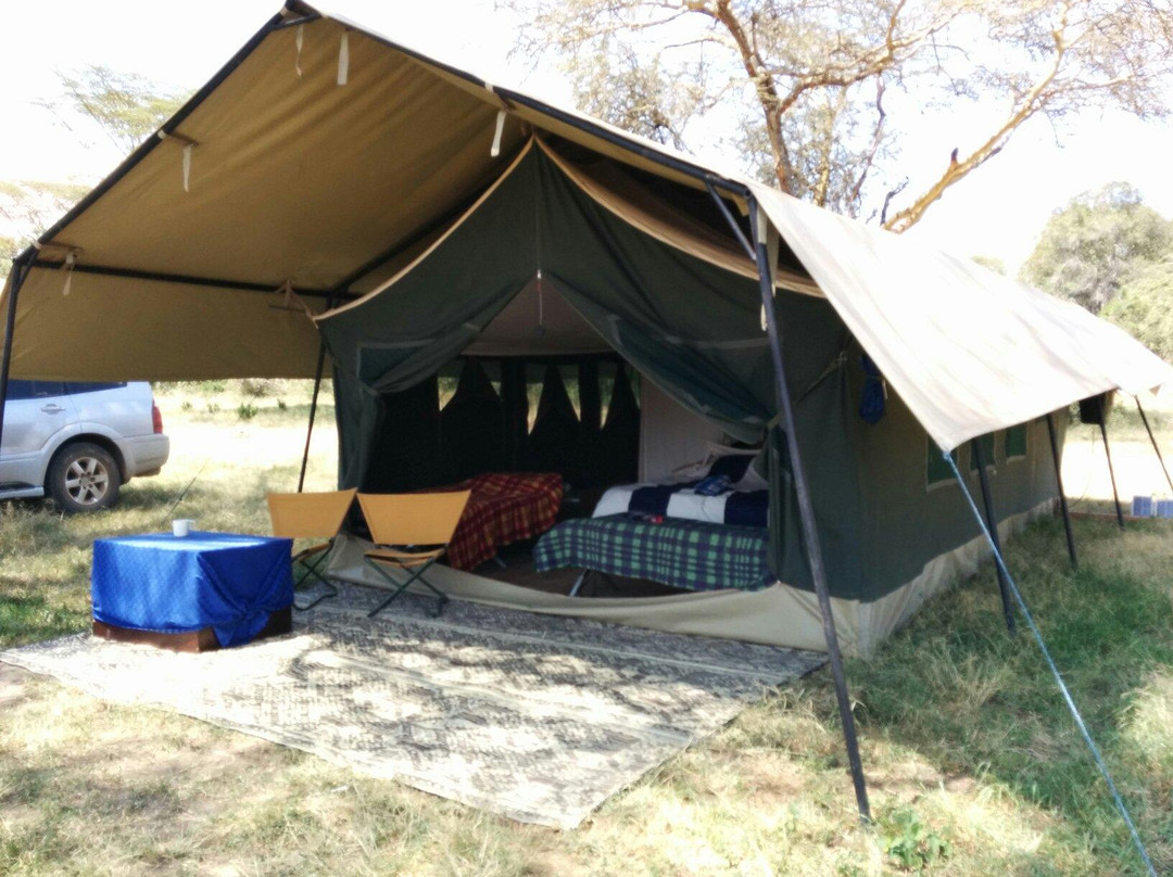 Sangare Under Canvas
