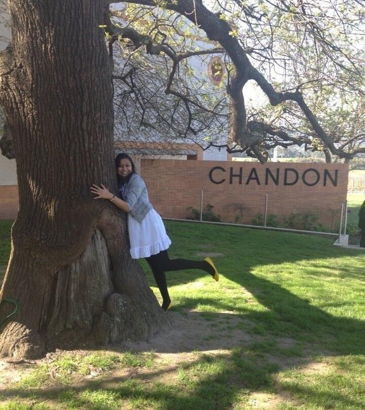 Domaine Chandon-科尔德斯特里姆必去景点