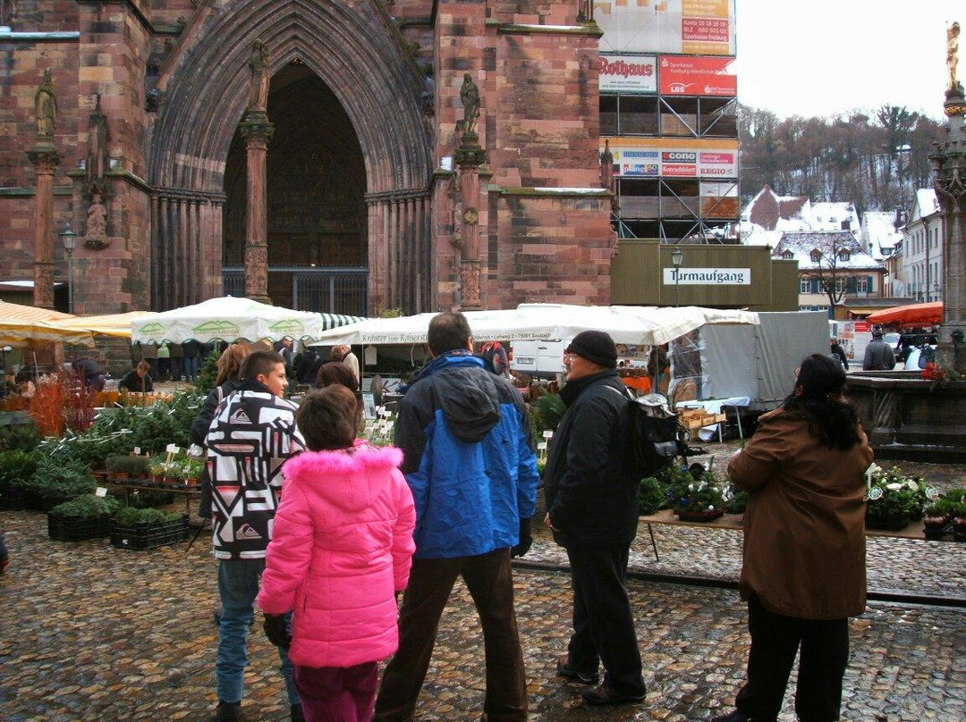 Freiburg Free Walking Tour-佛莱堡必去景点