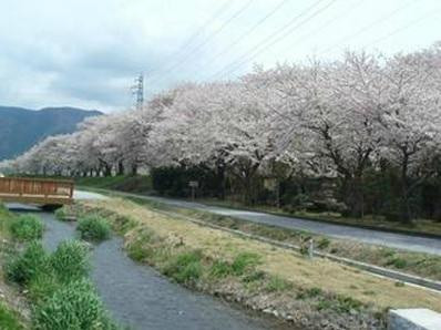 Anegawa Old Battlefield-长滨市必去景点
