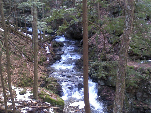 Chesterfield Gorge State Park-Chesterfield必去景点