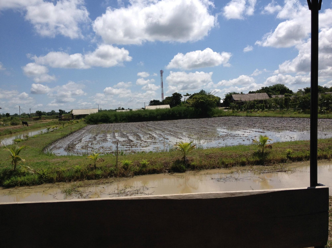Organic Agriculture Project景点图片
