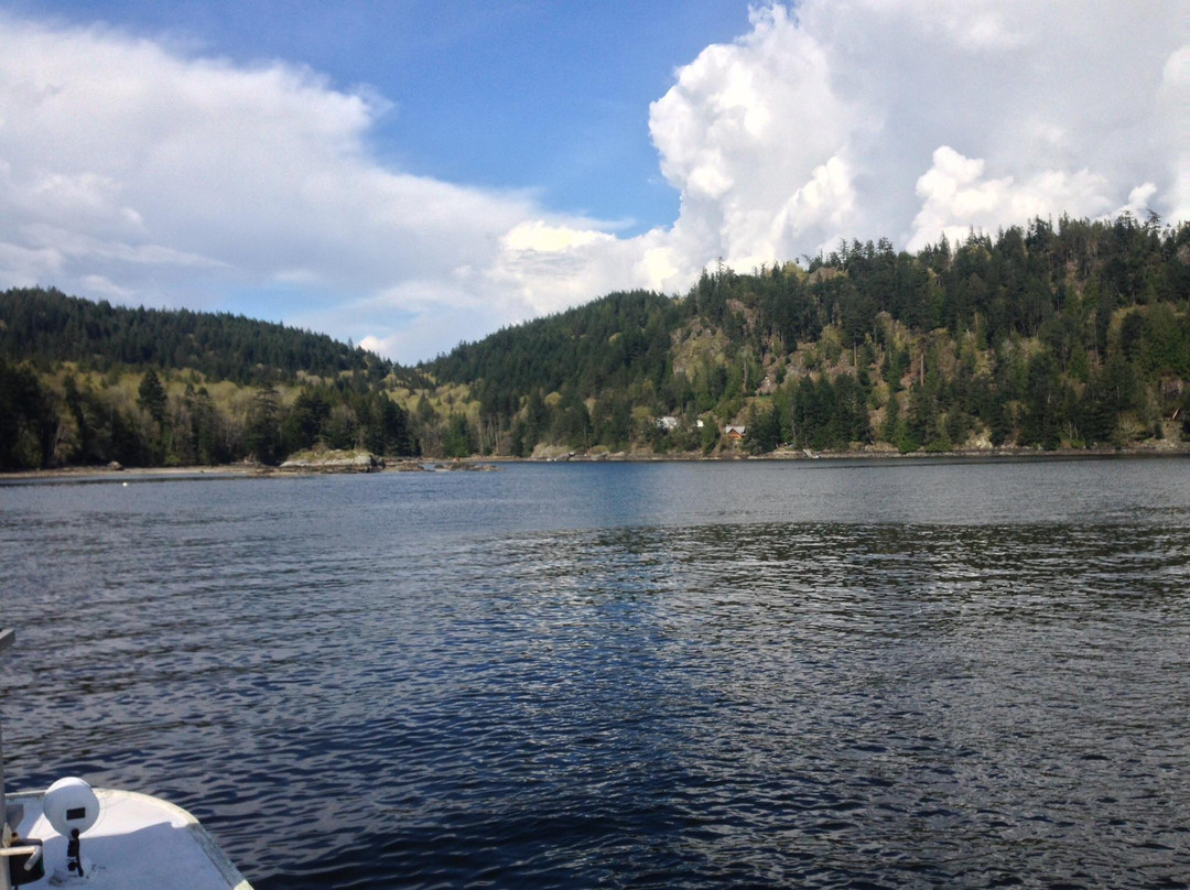 Sea Dragon Charters-马蹄湾必去景点