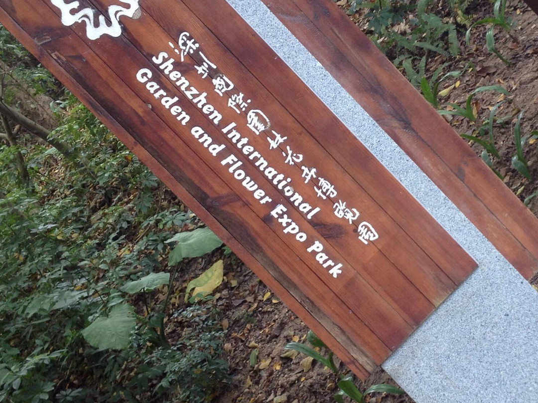 深圳园博园-深圳市必去景点