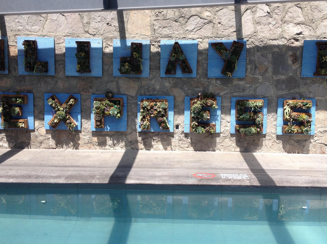 帕丘卡酒店住宿-Holiday Inn Express Pachuca by IHG