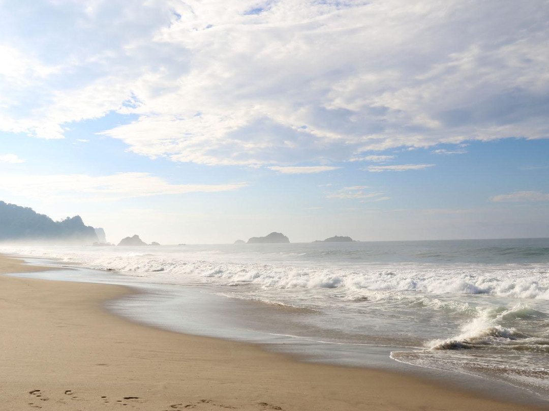 Sukamade Beach-巴纽旺宣必去景点