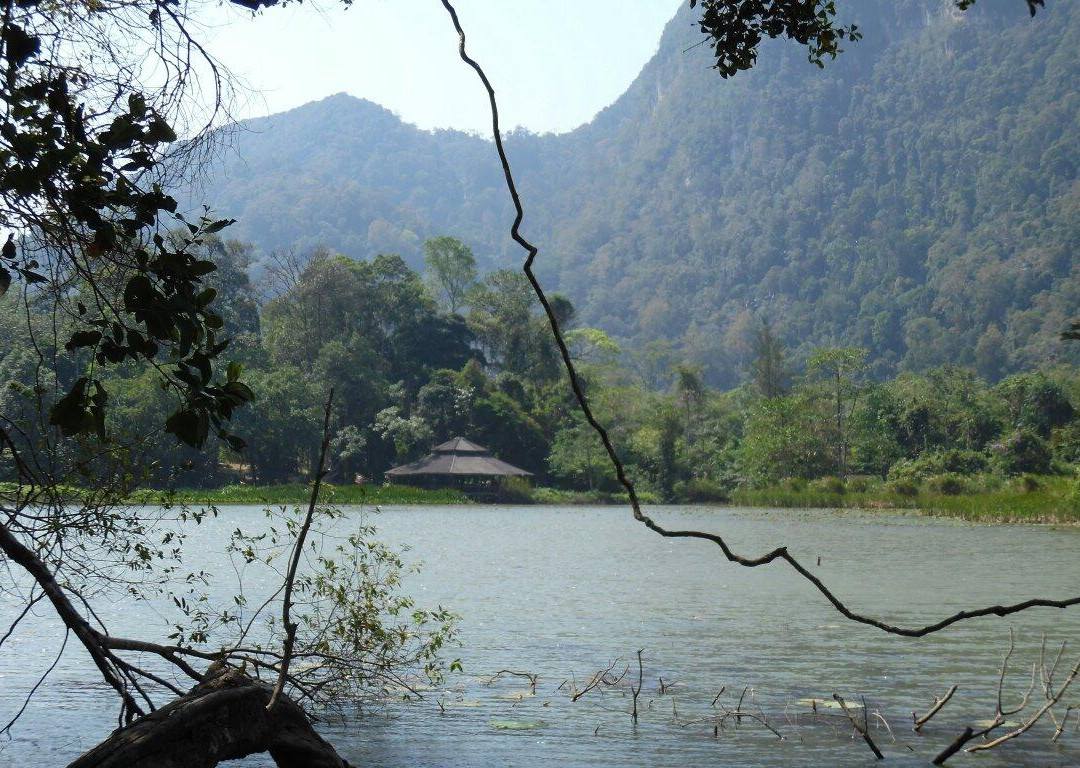 Thale Ban National Park景点图片