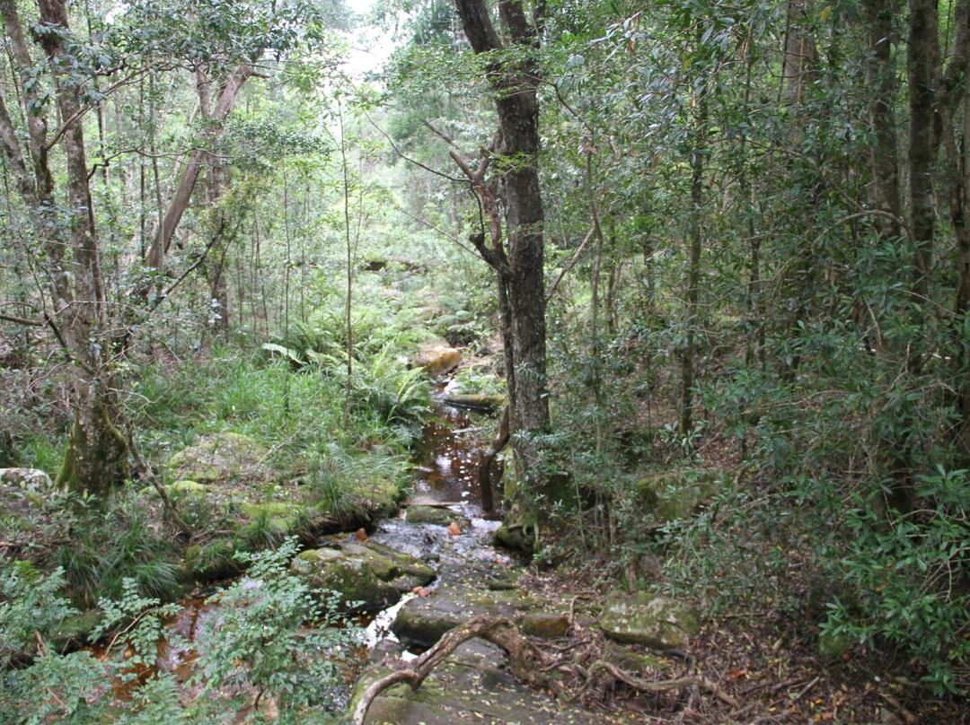 Stormsriver Adventures - Tsitsikamma Woodcutters Journey景点图片