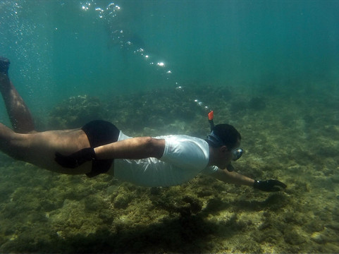 Ilha Do Caita-莫罗圣保罗必去景点