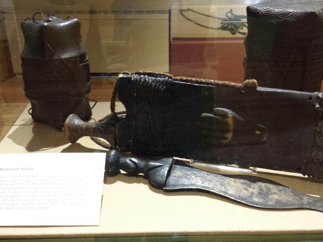 Museum of Natural History and Planetarium-普罗维登斯必去景点