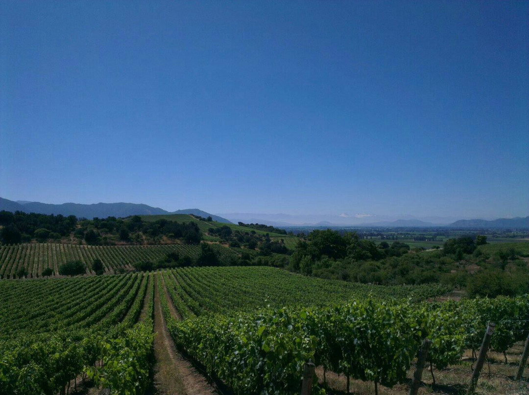 Natural Wine Tours-Palmilla必去景点