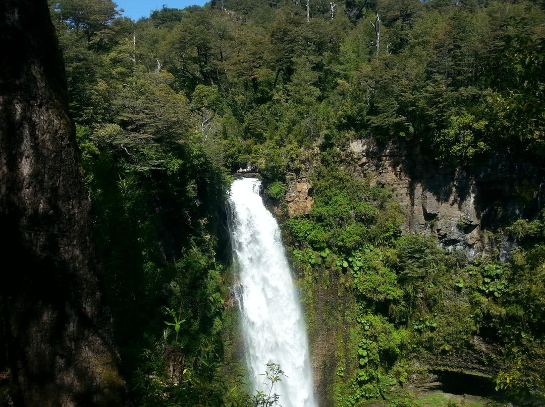 Parque Nacional Tolhuaca-Curacautin必去景点