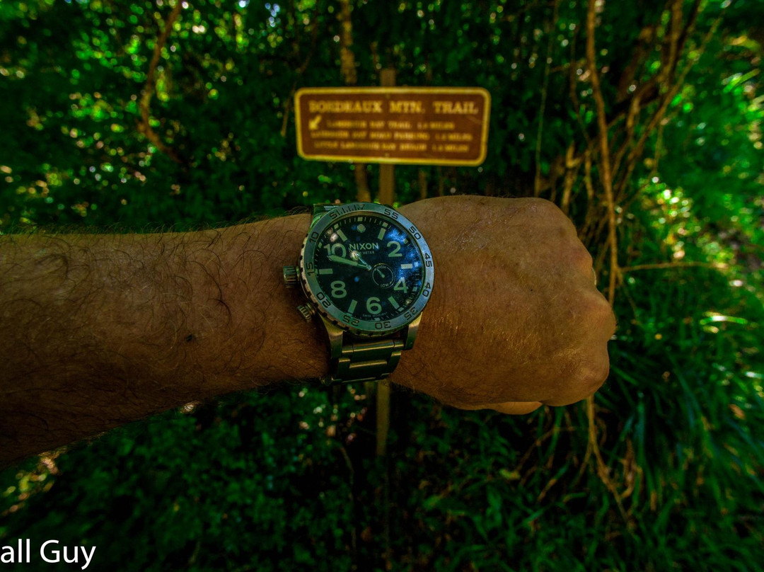 Bordeaux Mountain Trail-维尔京群岛国家公园必去景点